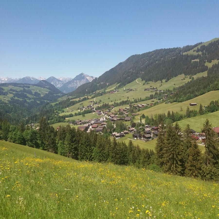 Haus Raimund " Klein Aber Fein " Lejlighed Alpbach Eksteriør billede