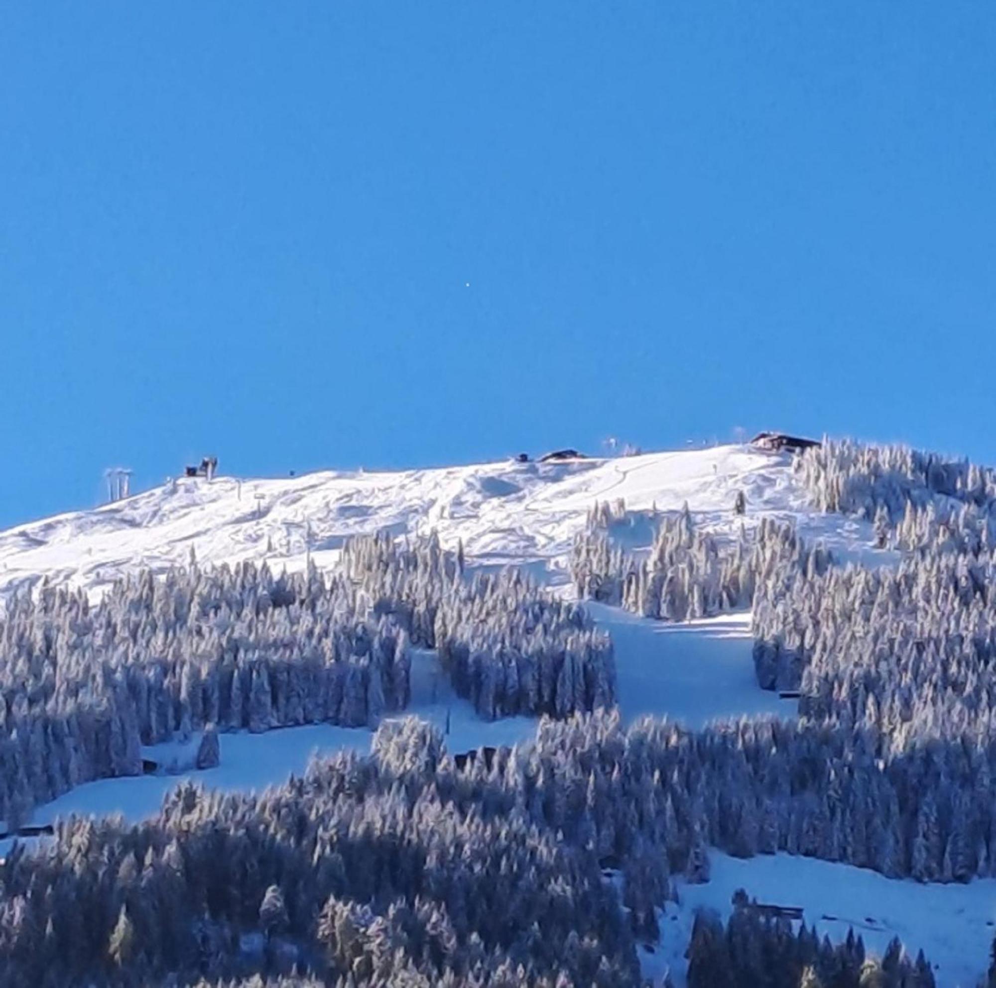 Haus Raimund " Klein Aber Fein " Lejlighed Alpbach Eksteriør billede