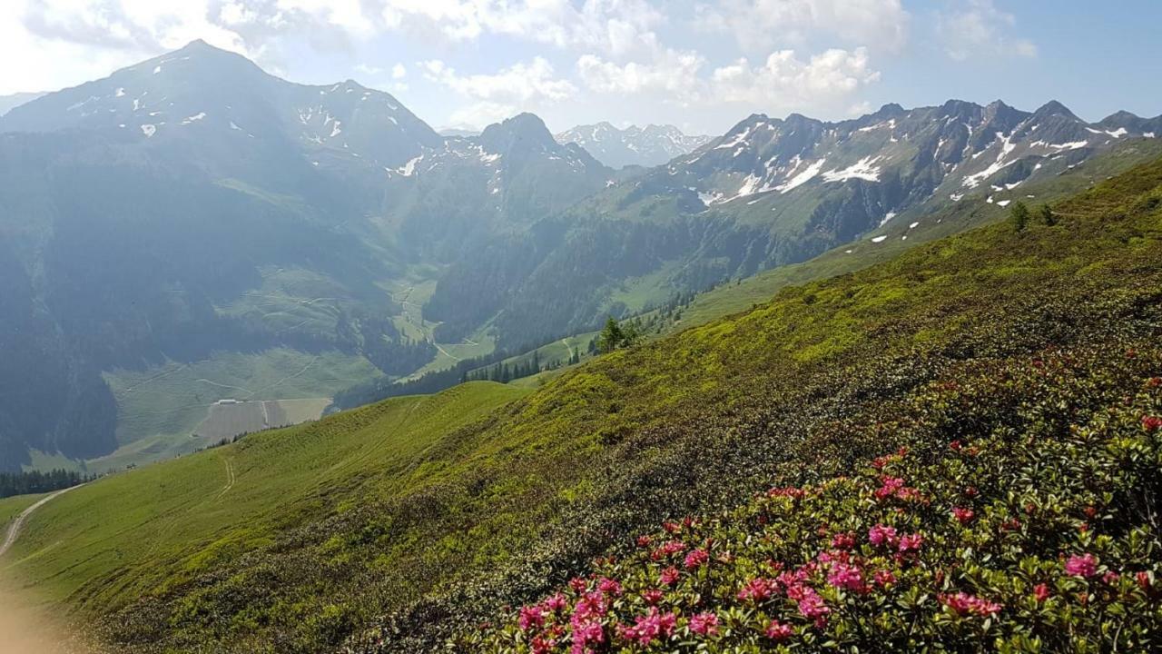 Haus Raimund " Klein Aber Fein " Lejlighed Alpbach Eksteriør billede